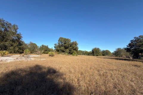 Terrain à vendre à Groveland, Floride № 2098835 - photo 24