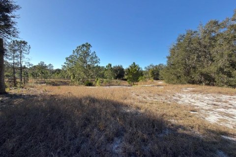 Terrain à vendre à Groveland, Floride № 2098835 - photo 25