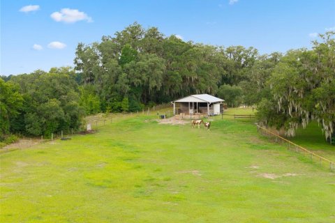 House in Dunnellon, Florida 3 bedrooms, 178.37 sq.m. № 1815683 - photo 4