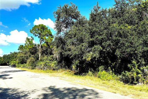 Land in Port Charlotte, Florida № 2144754 - photo 5