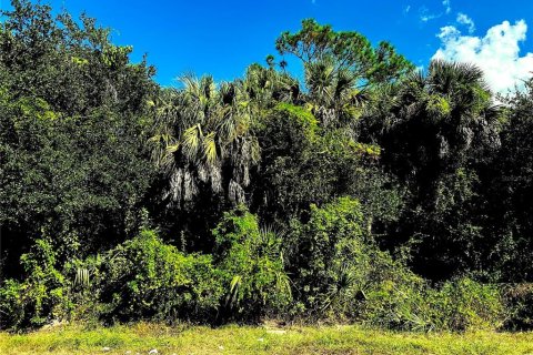 Land in Port Charlotte, Florida № 2144754 - photo 3
