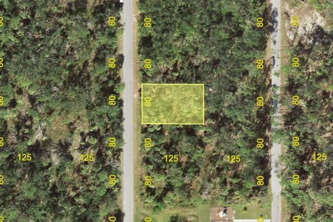 Land in Port Charlotte, Florida № 2144754 - photo 4
