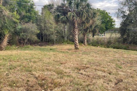 Villa ou maison à vendre à Okeechobee, Floride: 3 chambres, 101.26 m2 № 2083290 - photo 7