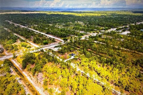 Land in Indian lake estates, Florida № 2162491 - photo 7