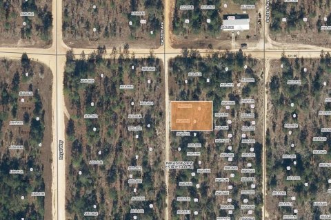Land in Interlachen, Florida № 2162405