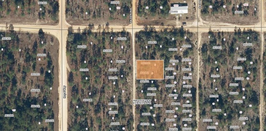 Land in Interlachen, Florida № 2162405