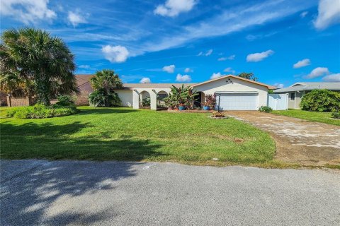 House in Palm Coast, Florida 3 bedrooms, 168.8 sq.m. № 2215721