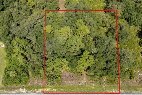 Terrain à vendre à Lehigh Acres, Floride № 1887207 - photo 23