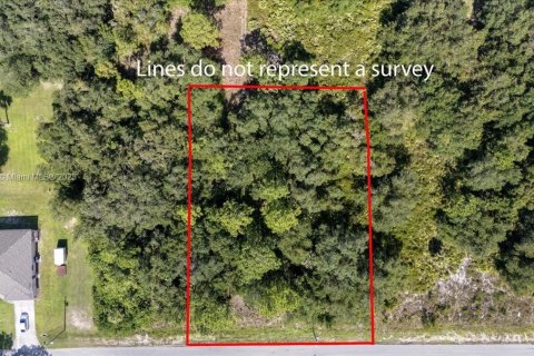 Terrain à vendre à Lehigh Acres, Floride № 1887207 - photo 16