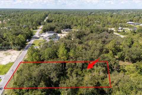 Terrain à vendre à Lehigh Acres, Floride № 1887207 - photo 15