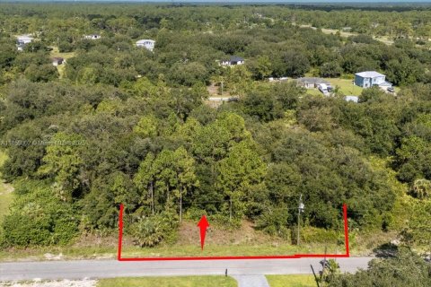 Terrain à vendre à Lehigh Acres, Floride № 1887207 - photo 12