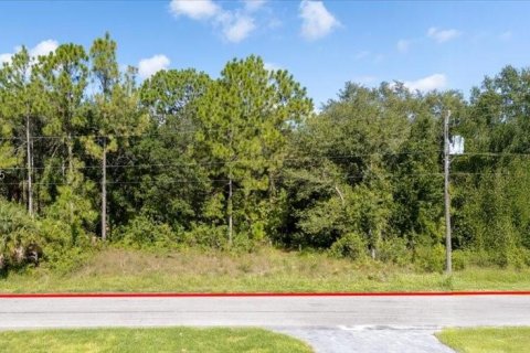 Terrain à vendre à Lehigh Acres, Floride № 1887207 - photo 2