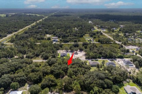 Terrain à vendre à Lehigh Acres, Floride № 1887207 - photo 7