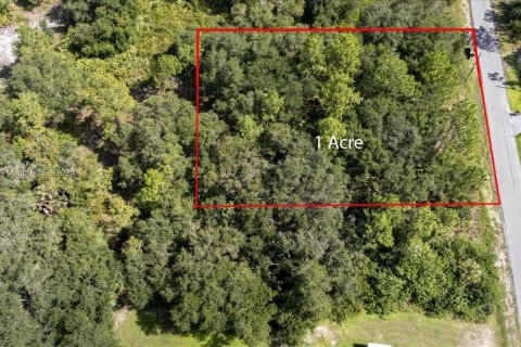 Terrain à vendre à Lehigh Acres, Floride № 1887207 - photo 24