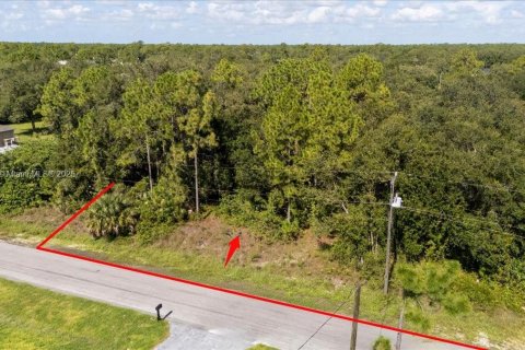 Terrain à vendre à Lehigh Acres, Floride № 1887207 - photo 3