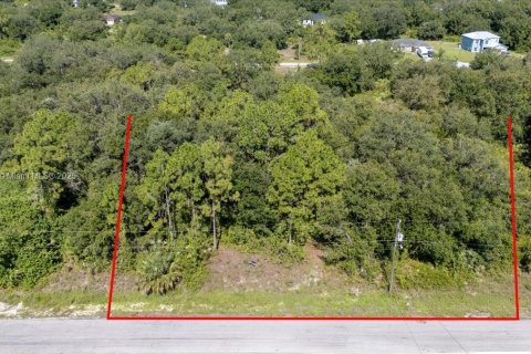 Terrain à vendre à Lehigh Acres, Floride № 1887207 - photo 19