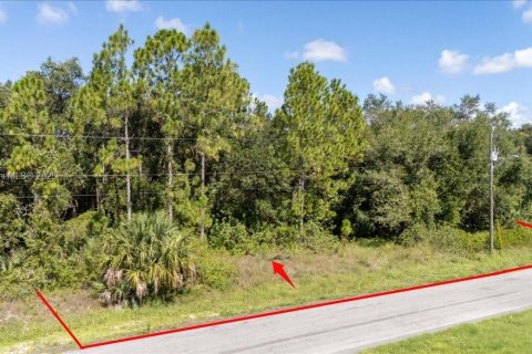 Terrain à vendre à Lehigh Acres, Floride № 1887207 - photo 20