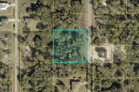 Terreno en venta en Lehigh Acres, Florida № 1887207 - foto 1