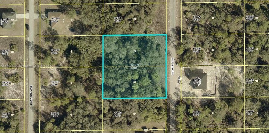 Terreno en Lehigh Acres, Florida № 1887207