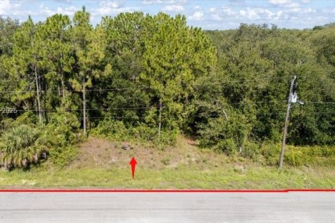 Terrain à vendre à Lehigh Acres, Floride № 1887207 - photo 18