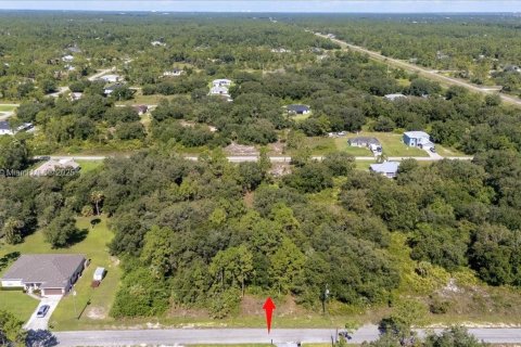Terrain à vendre à Lehigh Acres, Floride № 1887207 - photo 22