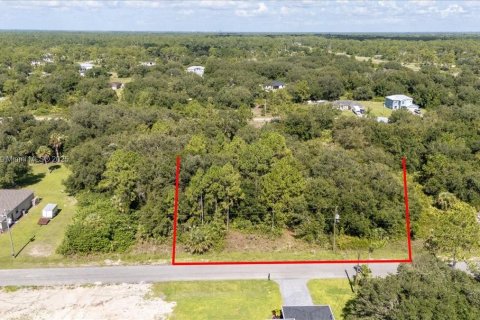 Terrain à vendre à Lehigh Acres, Floride № 1887207 - photo 5