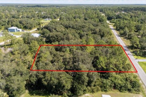 Terrain à vendre à Lehigh Acres, Floride № 1887207 - photo 4