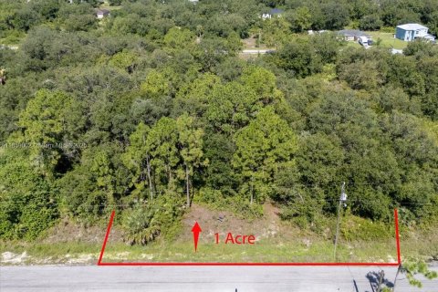 Terrain à vendre à Lehigh Acres, Floride № 1887207 - photo 17