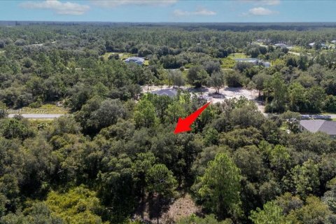 Terrain à vendre à Lehigh Acres, Floride № 1887207 - photo 14