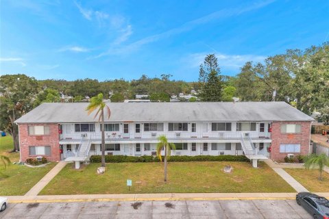 Condo in Clearwater, Florida, 1 bedroom № 2236205