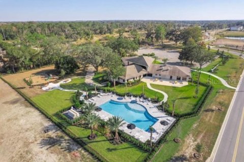 Land in Ocala, Florida № 2106379 - photo 3