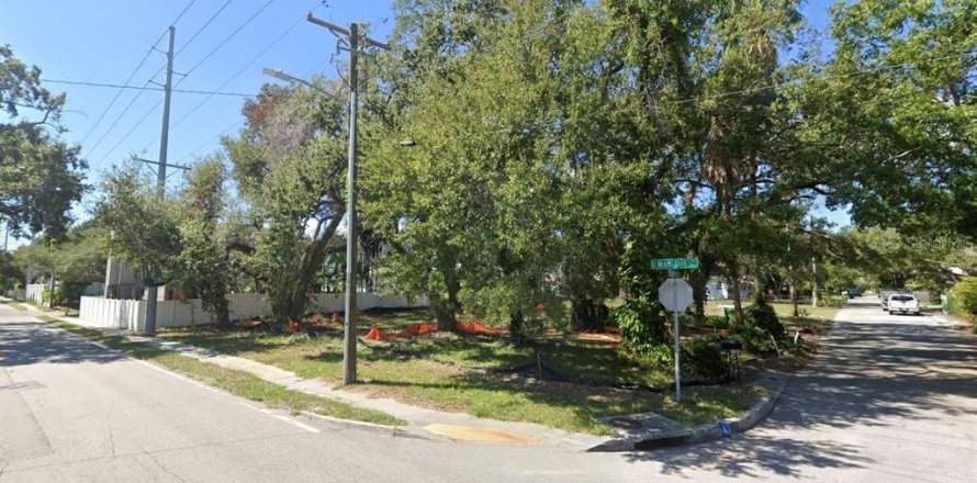 Land in Tampa, Florida № 1515306
