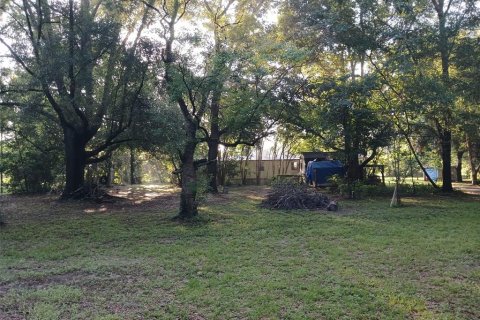 Apartamento en alquiler en High Springs, Florida, 3 dormitorios, 98.85 m2 № 2150588 - foto 13