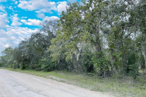 Land in Bronson, Florida № 2228664 - photo 2