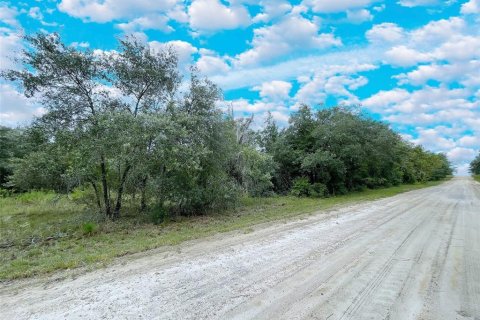 Land in Bronson, Florida № 2228664