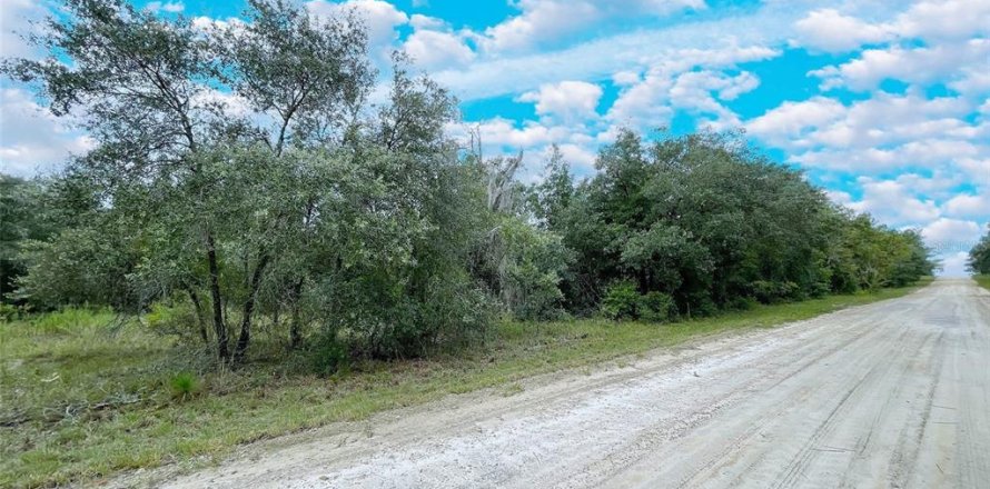 Land in Bronson, Florida № 2228664