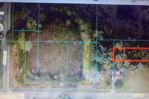 Land in Ocala, Florida № 2162609 - photo 2