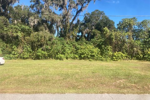 Land in Ocala, Florida № 2162609 - photo 3