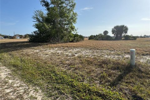 Terrain à vendre à Cape Coral, Floride № 1607998 - photo 2