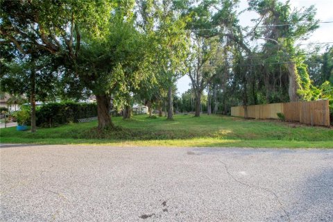 Terreno en venta en Tampa, Florida № 1900615 - foto 3