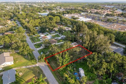 Terreno en venta en Tampa, Florida № 1900615 - foto 6