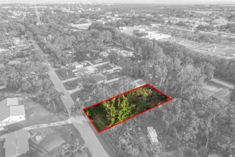 Terreno en venta en Tampa, Florida № 1900615 - foto 2