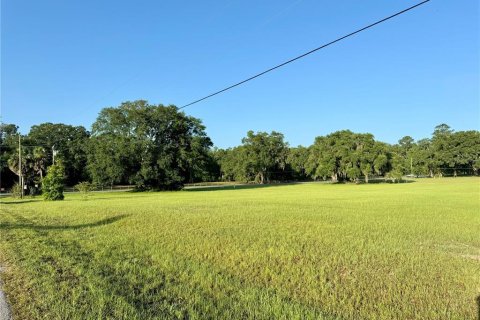 Land in Lake City, Florida № 1801983 - photo 5