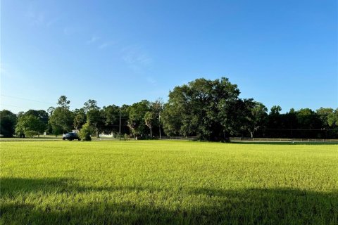 Land in Lake City, Florida № 1801983 - photo 2