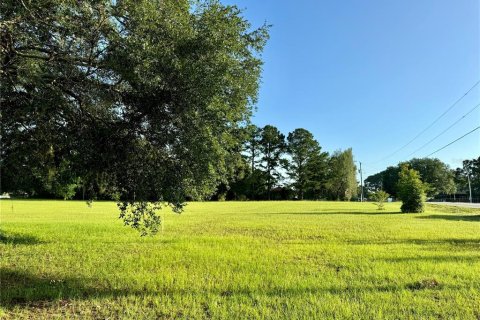 Land in Lake City, Florida № 1801983 - photo 3