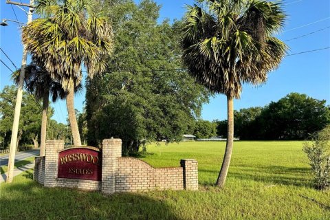 Land in Lake City, Florida № 1801983 - photo 7