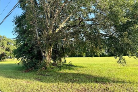 Land in Lake City, Florida № 1801983 - photo 4