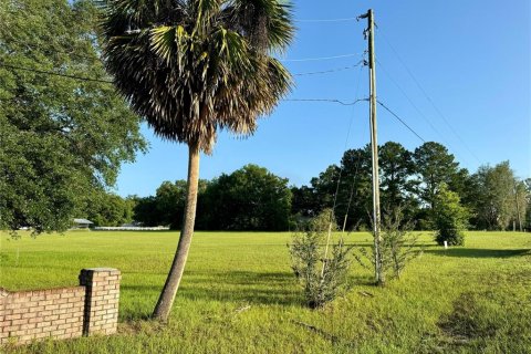 Land in Lake City, Florida № 1801983 - photo 8