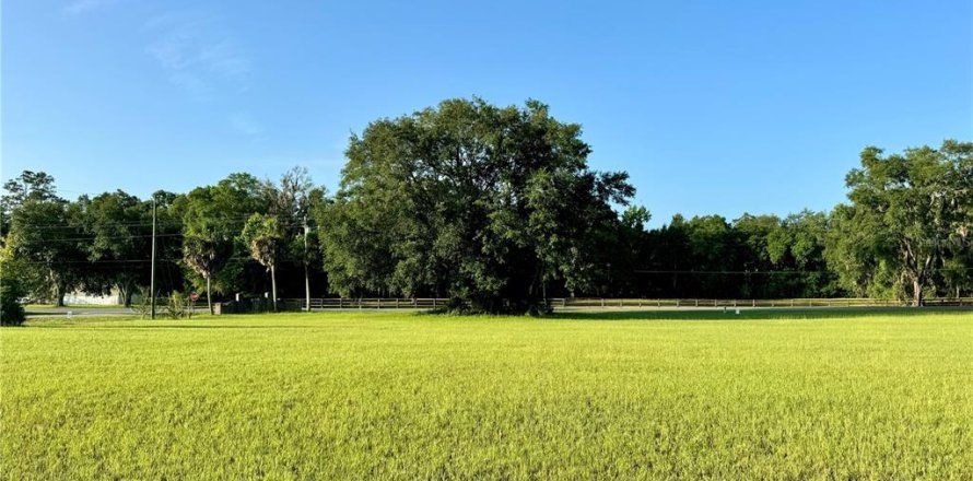 Land in Lake City, Florida № 1801983