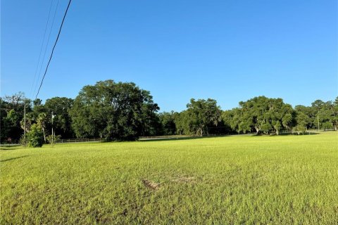 Land in Lake City, Florida № 1801983 - photo 6